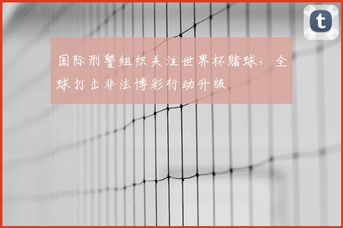 国际刑警组织关注世界杯赌球,全球打击非法博彩行动升级
