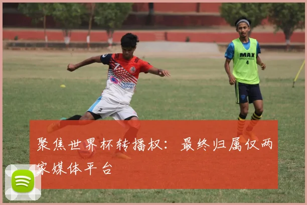 聚焦世界杯转播权：最终归属仅两家媒体平台