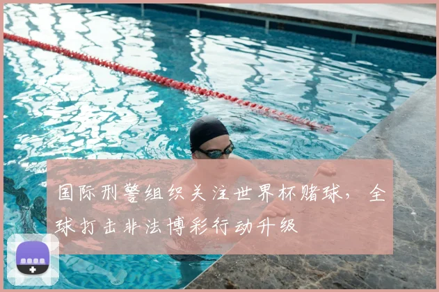 国际刑警组织关注世界杯赌球,全球打击非法博彩行动升级