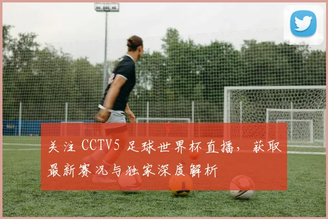 关注 CCTV5 足球世界杯直播，获取最新赛况与独家深度解析