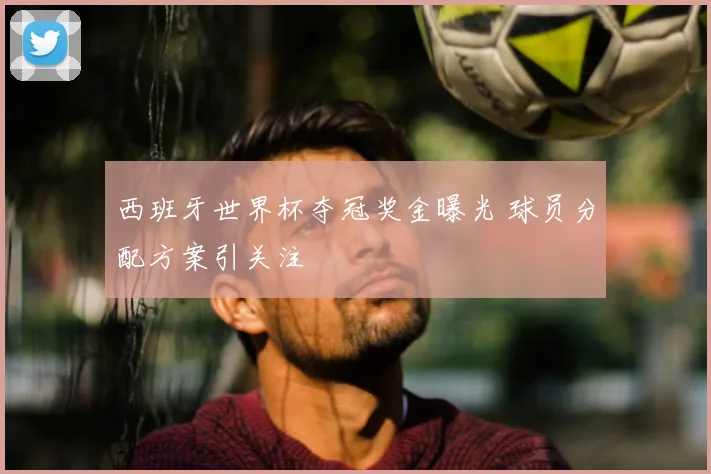 西班牙世界杯夺冠奖金曝光 球员分配方案引关注