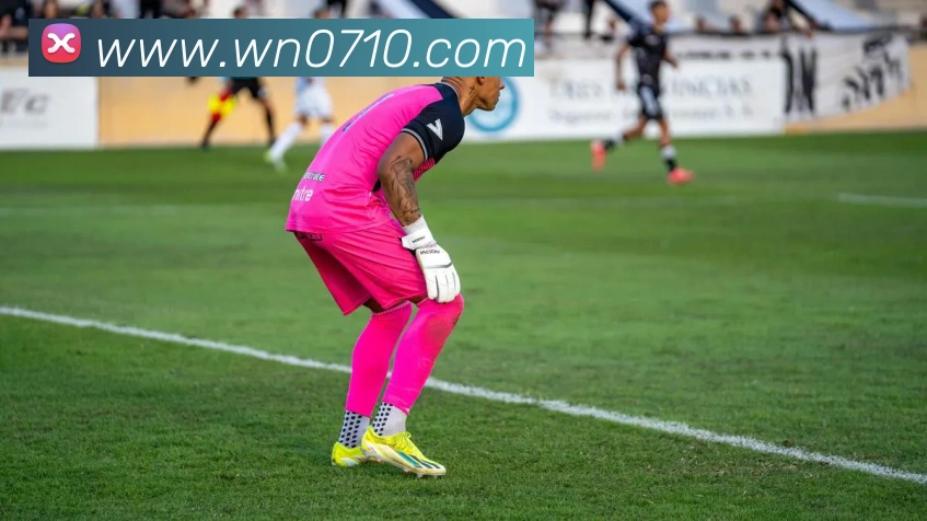 火狐官网入口平台生态图